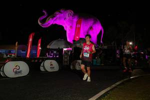 BIB: 
                            <button type="button" onclick="openModal(26535017)" class="btn btn-primary btn-sm float-right btn-popup" data-toggle="modal" data-target=".modal-high-quality">
                        <i class="fas fa-shopping-cart"></i> Add to Cart
                    </button>
                                            <button type="button" onclick="isThisMe(26535017, true)" class="btn btn-success btn-sm float-right btn-popup btn-isme hidden" data-toggle="tooltip" data-placement="bottom" title="นี่คือรูปของคุณใช่ไหม คลิกที่นี่เพื่อเอาเข้าอัลบั้ม">
                        <i class="fas fa-plus"></i> Add to album
                    </button>
                    <button type="button" onclick="isThisMe(26535017, false)" class="btn btn-warning btn-sm float-right btn-popup btn-isnotme hidden">
                        <i class="fas fa-ban"></i> Remove from album
                    </button>